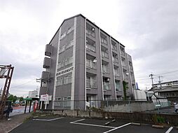 2 / 11
