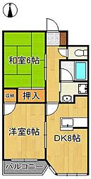 サンシティ小石 1階/-