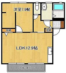 ワンズグレイス 2階/-