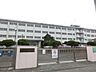 周辺：八児中学校(240m)