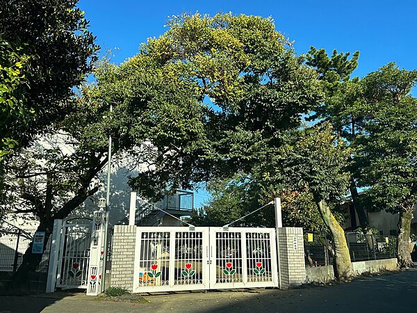 周辺を拡大表示