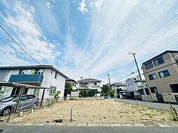 秋津519