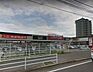 周辺：HalloDay（ハローデイ） 共立大前店（786m）