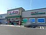 周辺：Vドラッグ春日井関田店 500m