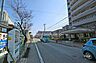 周辺：敷地北側の前面道路