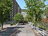 その他：敷地南東側の前面道路。街路樹のきれいな通りです。
