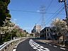 その他：前面道路は街路樹がきれいです。