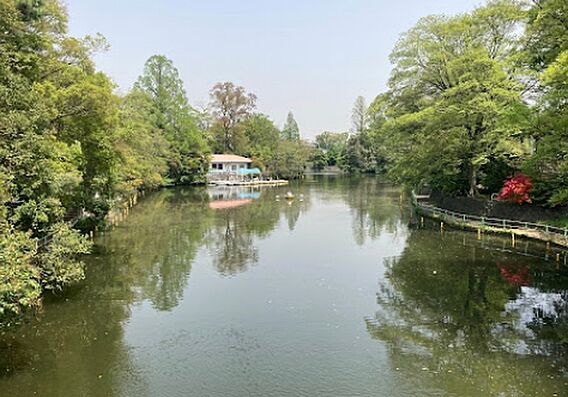 武蔵関公園(約...