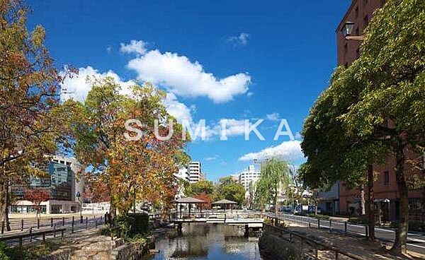 ハイムＳＡＫＵＲＡ ｜岡山県岡山市北区中島田町1丁目(賃貸アパート1LDK・1階・36.14㎡)の写真 その29