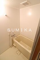 ラ・スペランツァ  ｜ 岡山県岡山市北区辰巳（賃貸マンション1K・1階・30.36㎡） その8