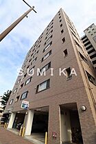 ルミエール大供  ｜ 岡山県岡山市北区大供2丁目（賃貸マンション1LDK・8階・33.72㎡） その1