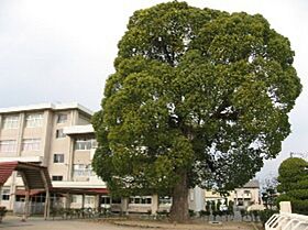 岡山県岡山市東区益野町（賃貸アパート1K・1階・26.84㎡） その15