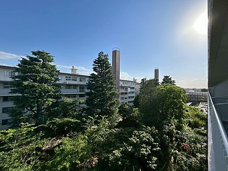 眺望や窓からの景色が良いと、家で過ごす時間も快適です。