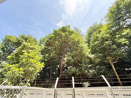 陽当たり・通風・開放感に恵まれた環境です。