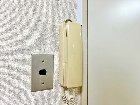 誰が来てもわかる様にモニター付きインターホンを設置。