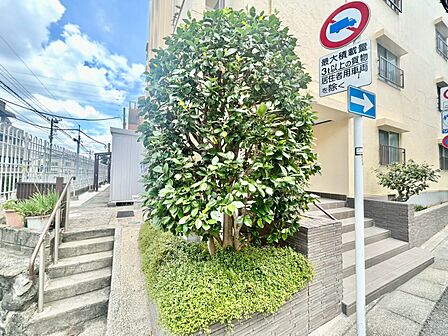 マンションの敷地内には、中庭もございます。