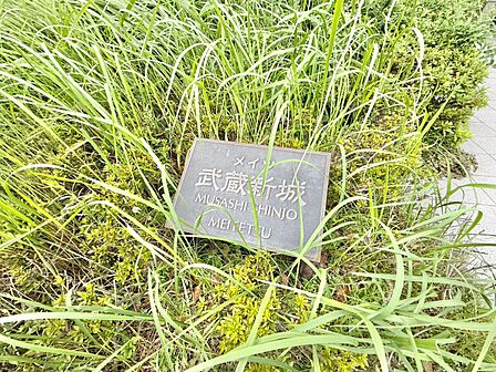 清潔感のある落ち着いた雰囲気の玄関です。