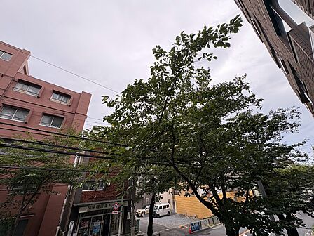 陽当たり・通風・開放感に恵まれた環境です。