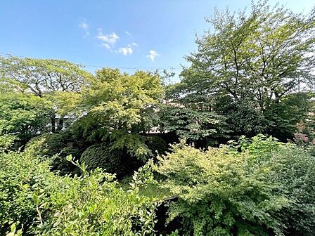 眺望や窓からの景色が良いと、家で過ごす時間も快適です。