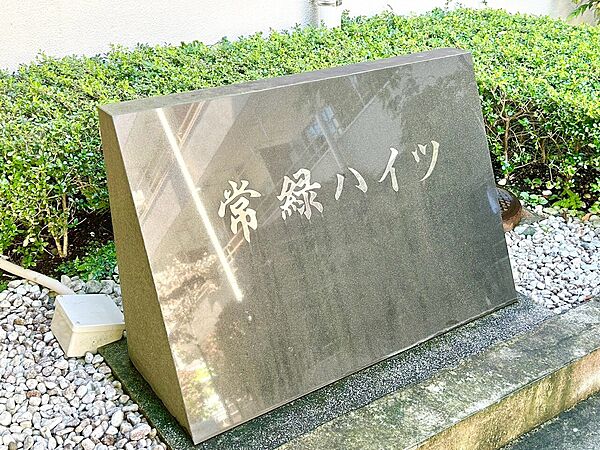 室内を拡大表示
