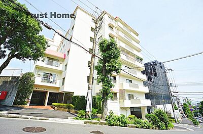 外観 外観