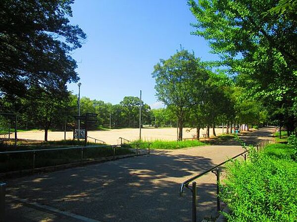 画像30:【公園】住之江公園まで899ｍ