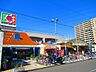 周辺：【スーパー】 デイリーカナート住之江店まで731ｍ