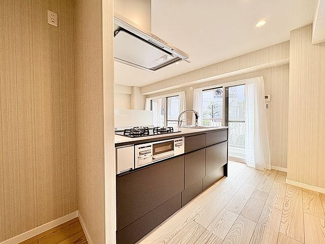 キッチン 南馬込セントラルパレス 2階/-