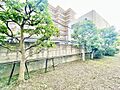 さまざまな表情...