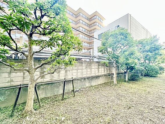 さまざまな表情...