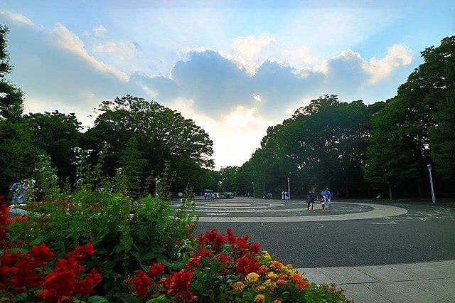 周辺 THE SYLA SHIBUYA-TOMIGAYA 8階/801