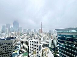 東京タワーを望むバルコニー。眺望の良さはタワーマンションの醍醐味です。