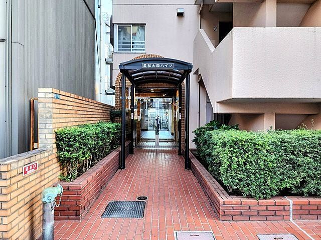 エントランス 星和大森ハイツ 11階/-