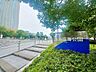 周辺：中央区立晴海臨海公園 90m