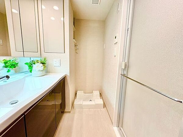 洗面を拡大表示