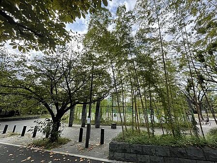 新宿区立みなみもと町公園 260m