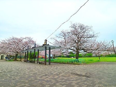 桜川公園 600m