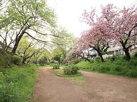 玉川上水永泉寺緑地 650m