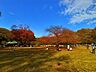 周辺：砧公園 1100m