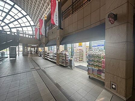 マツモトキヨシ天王洲アイル店 1000m