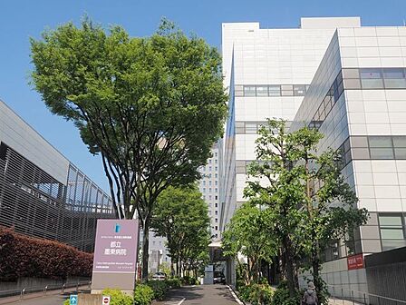 東京都立墨東病院 1200m