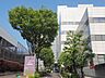 周辺：東京都立墨東病院 1200m