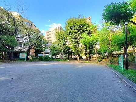 渋谷区立幡ヶ谷第三公園 450m