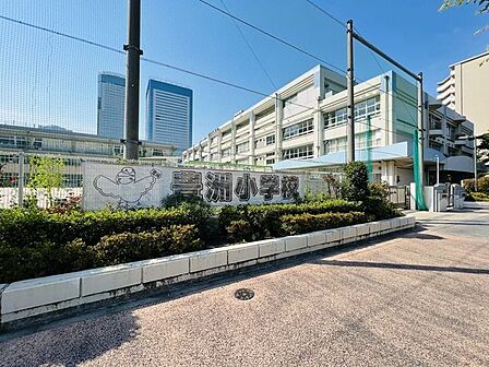 江東区立豊洲小学校 600m