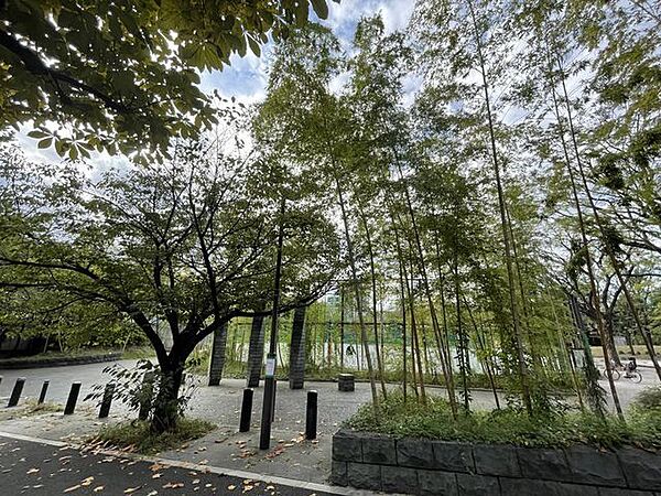 周辺を拡大表示
