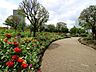 周辺：下丸子公園 600m