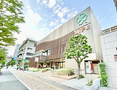 ライフ豊洲店 300m