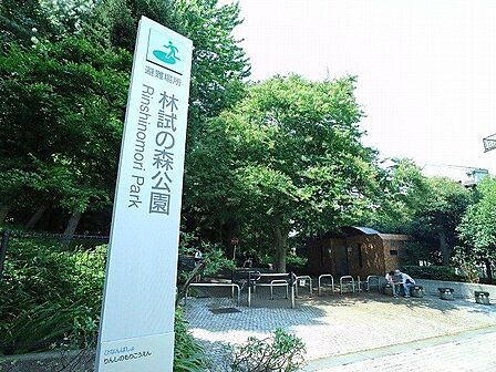 林試の森公園 400m