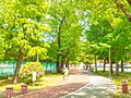 青木町公園 徒...
