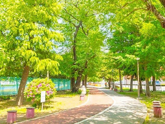 青木町公園 徒...